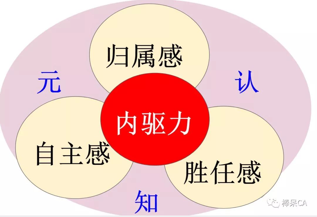 申请藤校最重要的内驱力-翰林国际教育