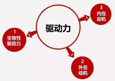 激发内驱力：从单一薪酬到组织问题的转变——以驾校平台化为例